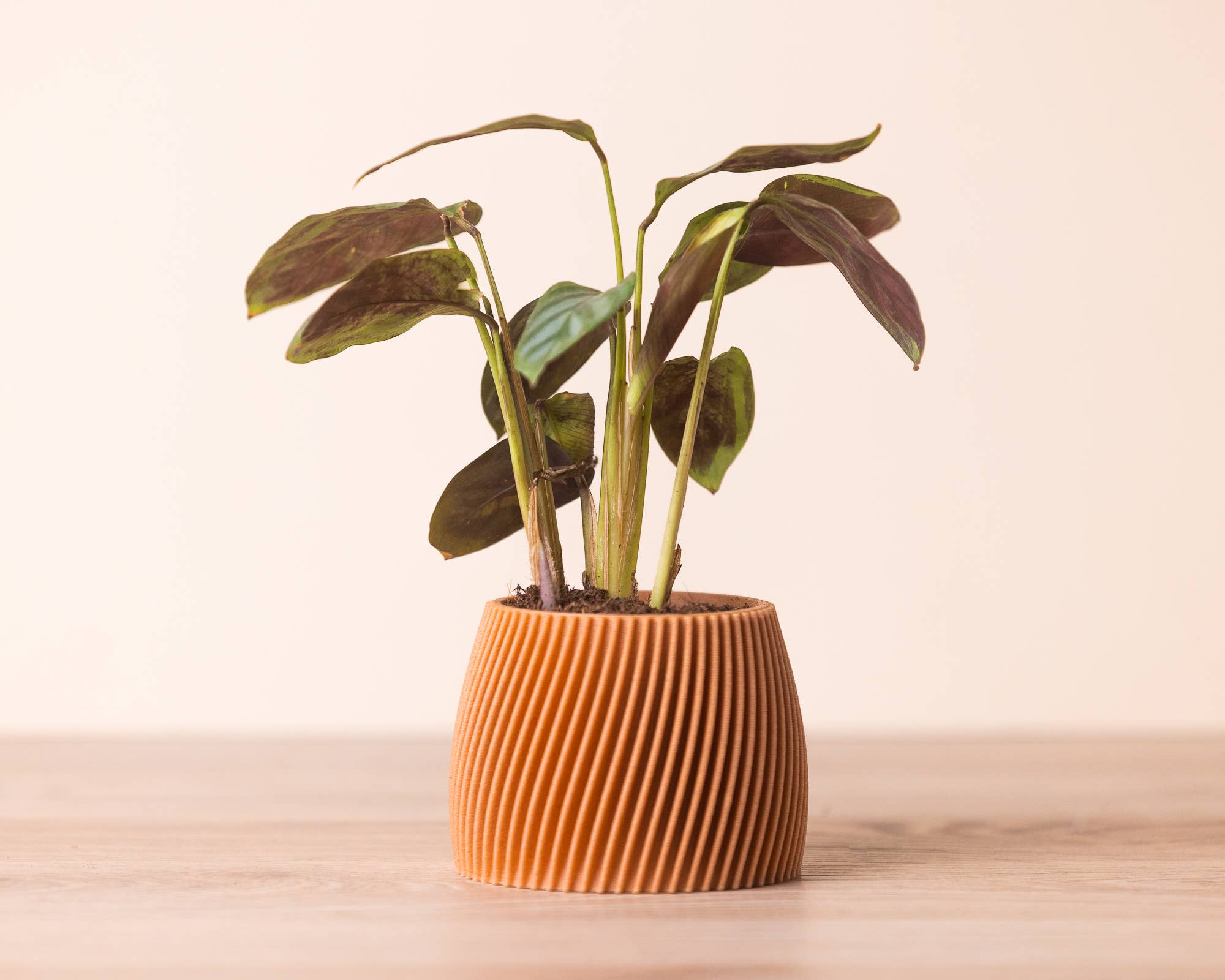 Small planters - Wood based - Plastic free - Vorte