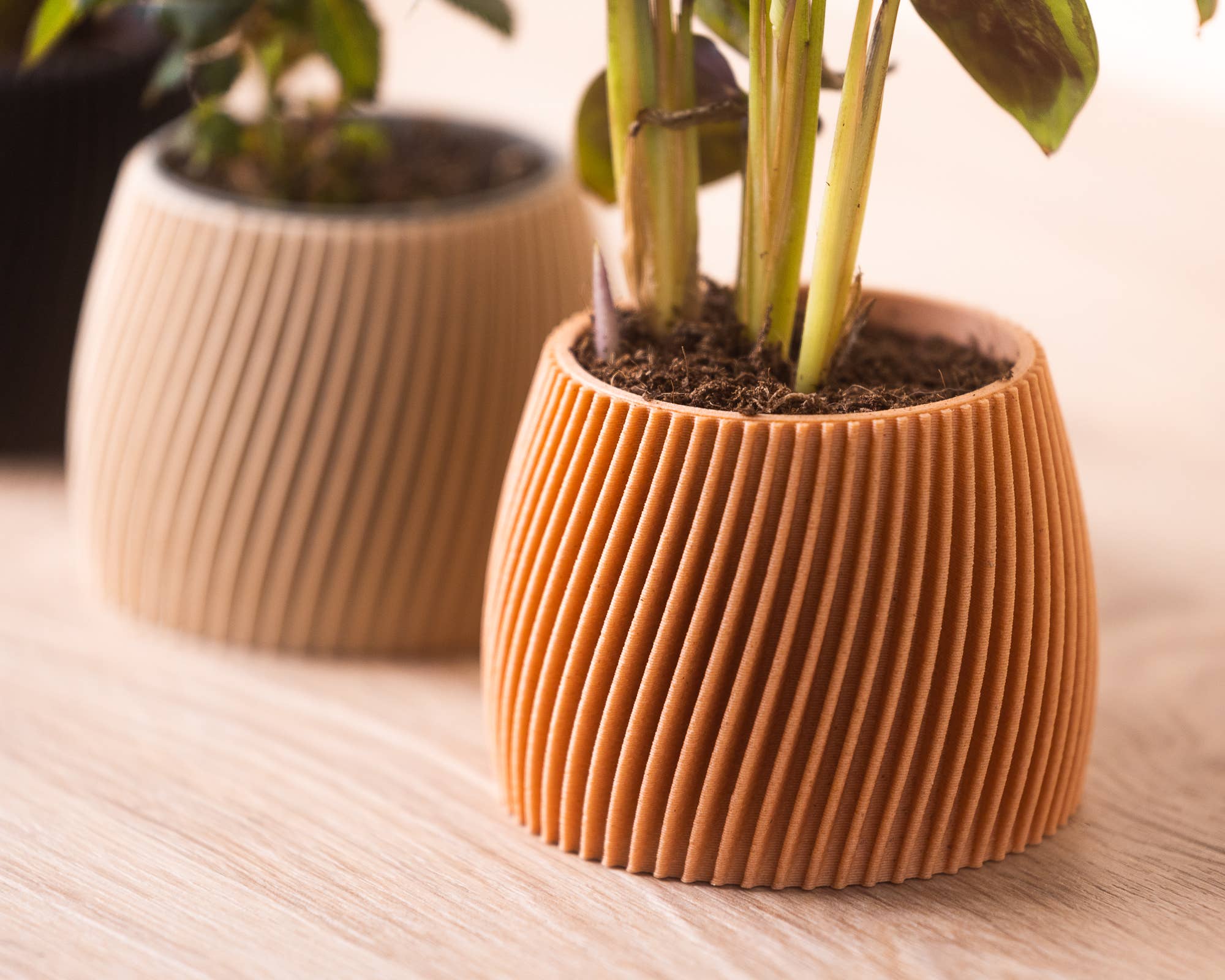Small planters - Wood based - Plastic free - Vorte