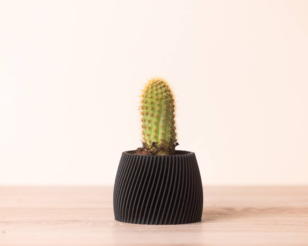 Small planters - Wood based - Plastic free - Vorte